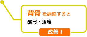 背骨を調整すると猫背・腰痛改善!