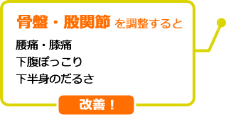 骨盤・股関節を調整すると腰痛・膝痛下腹ぽっこり下半身のだるさ改善!